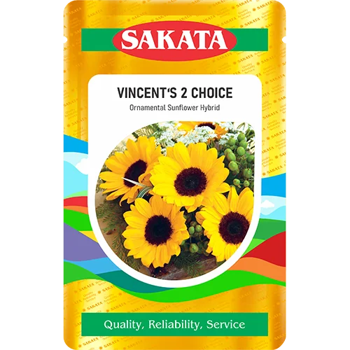F1 Vincent 2 Choice