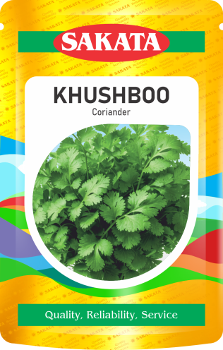 Khushboo