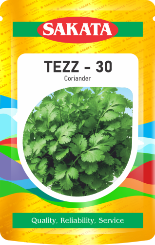 Tezz 30