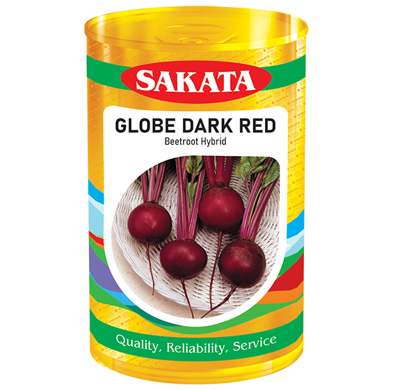 Globe Dark Red