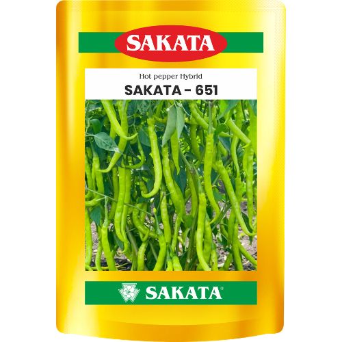 F1 Sakata 651